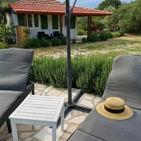 Maslina * Vrboska